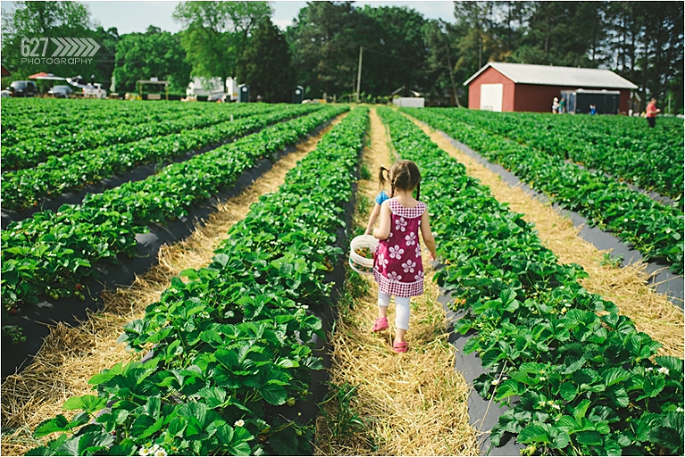 Strawberry Fields forever Apex Family Portrait Photographer Apex Cary Raleigh NC Senior